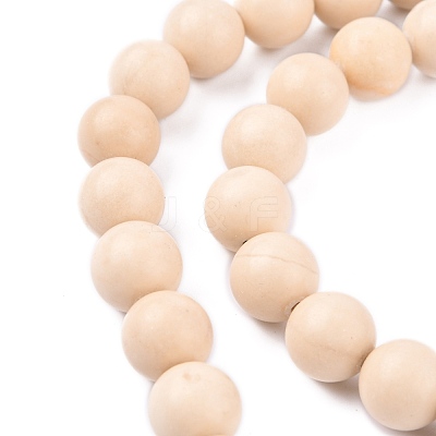 Natural Fossil Beads Strands G-E110-10mm-2-1