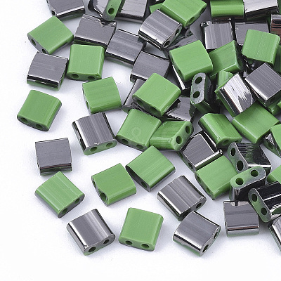 FGB 2-Hole Glass Seed Beads SEED-S031-L-047-H-1