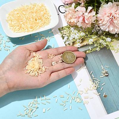 50g Glass Bugle Beads SEED-SZ0001-024G-1