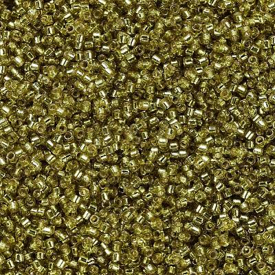 MIYUKI Delica Beads SEED-X0054-DB2164-1