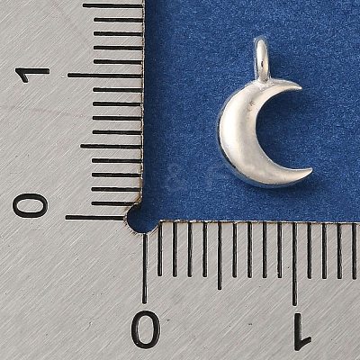 925 Sterling Silver Charms FIND-U013-06S-01-1