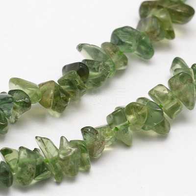 Chips Natural Green Apatite Beads Strands G-N0164-26-1