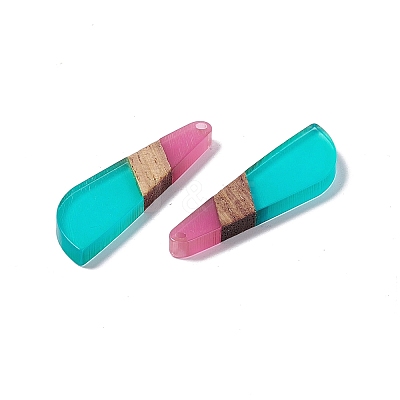 Transparent Resin & Walnut Wood Big Pendants RESI-M027-07G-1