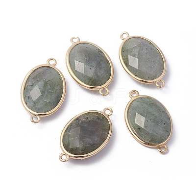 Golden Tone Brass Natural Labradorite Links connectors G-F339-A15-1