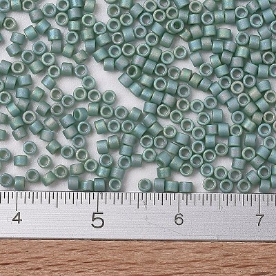 MIYUKI Delica Beads X-SEED-J020-DB2313-1