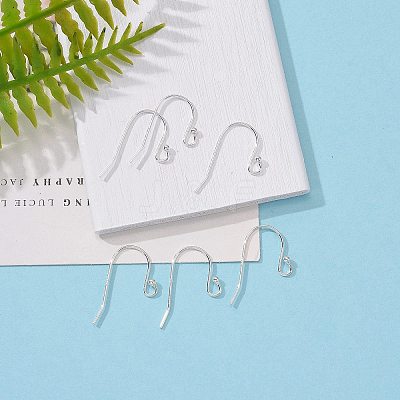 925 Sterling Silver Earring Hooks STER-K167-051A-S-1
