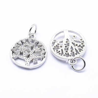 Brass Micro Pave Cubic Zirconia Charms ZIRC-L070-06P-1