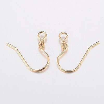 304 Stainless Steel Earring Hooks STAS-H436-04-1