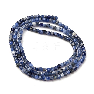 Natural Sodalite Beads Strands G-B142-C02-2x2mm-1