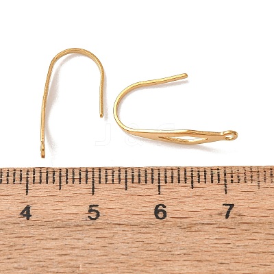 304 Stainless Steel Ear Hooks LS-STAS-L318-14G-1