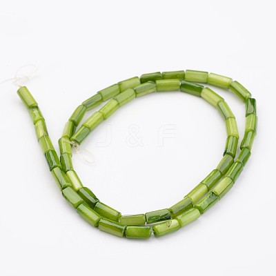 Natural Shell Bead Strands X-BSHE-P016-16-1
