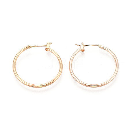 304 Stainless Steel Hoop Earrings EJEW-T048-25C-G-1