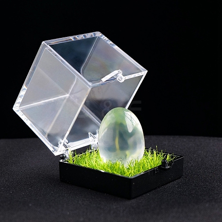 Natural Quartz Crystal Healing Egg Mineral Specimen Box PW-WG56386-03-1
