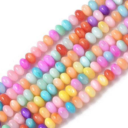 Natural Freshwater Shell Beads Strands X-SSHEL-C013-08B-1