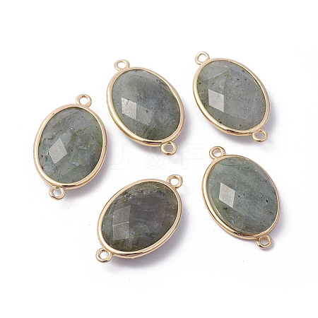 Golden Tone Brass Natural Labradorite Links connectors G-F339-A15-1