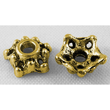 Tibetan Style Alloy Bead Caps LS-GLF0824Y-NF-1