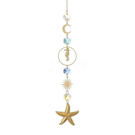 304 Stainless Steel Starfish Sea Horse Hanging Suncatchers HJEW-JM05039-1