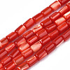 Natural Trochid Shell/Trochus Shell Beads Strands SHEL-N003-26-B03-1