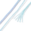 10 Skeins 6-Ply Polyester Embroidery Floss OCOR-K006-A11-3