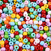 Baking Paint Glass Seed Beads SEED-N007-02C-3