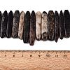 Natural Biotite Beads Strands G-Q616-06A-4