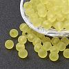 Transparent Acrylic Beads PL705-C79-2