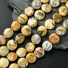 Flat Round Natural Crazy Lace Agate Beads Strands G-S110-05-1