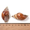 Natural Spiral Conch Shell Big Pendants SH-CBACA76-10-3