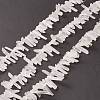 Natural Quartz Crystal Pointed Beads Strands G-L484-03-2