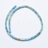 Natural Aqua Terra Jasper Beads Strands G-E444-15A-2