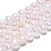 Natural Cultured Freshwater Pearl Beads Strands PEAR-N013-05K-5