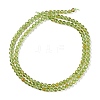 Natural Peridot Beads Strands G-K313-B01-02-3