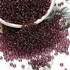 FGB 8/0 Grade A Round Glass Seed Beads SEED-Q006-3mm-F10-1