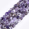 Natural Amethyst Beads Strands G-T105-33-1