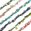 6 Strands 6 Colors Erose Shell Beads Strands BSHE-HY0001-05-1