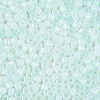 Glass Seed Beads SEED-T008-01E-3