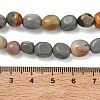 Natural Alashan Agate Beads Strands G-C286-A10-5