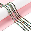 Natural African Turquoise(Jasper) Beads Strands G-F717-02A-01-2