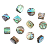 WADORN 12pcs 3 styles Natural Abalone Shell/Paua Shell Beads Strands SHEL-WR0001-03-1