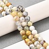 Natural African Opal Beads Strands G-B048-B03-01-2