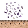 Natural Amethyst Chip Beads X-G-L453-06-2