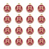 Golden Plated Alloy Enamel Charms X-ENAM-S118-08H-2