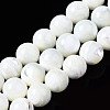 Natural Trochid Shell/Trochus Shell Beads Strands SSHEL-S266-023A-04-1