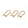 304 Stainless Steel Hoop Earrings STAS-D111-47-1