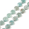 Natural Amazonite Beads Strands G-C116-A23-01A-2