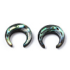 Natural Abalone Shell/Paua Shell Beads SSHEL-N034-122B-01-1