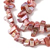Natural Freshwater Shell Beads Strands BSHE-H018-07B-3