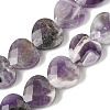 Natural Amethyst Beads Strands G-A309-A11-01-2