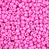 Baking Paint Glass Seed Beads SEED-S002-K2-2