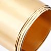 Copper Rolls AJEW-WH0252-54A-02-4